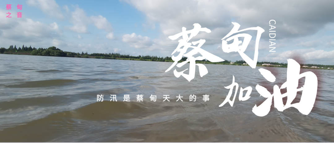 蔡甸區(qū)啟動(dòng)防汛ⅰ級(jí)應(yīng)急響應(yīng)，做好鋪土釘防汛木樁工作