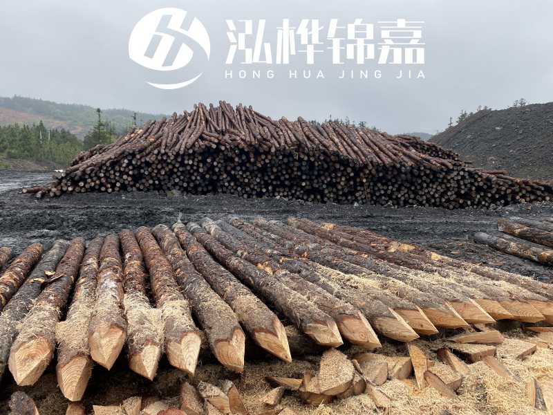 6米長(zhǎng)松木樁有哪些作用，多少錢一根？