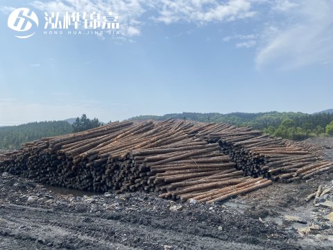 河道打樁為什么選擇松木樁來處理軟地基？-松木樁施工使用范圍
