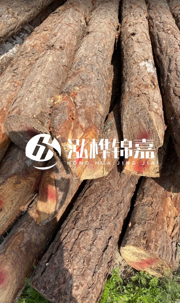 <strong>松木樁和杉木樁的用途區(qū)別？哪個(gè)更適合打樁用？</strong>
