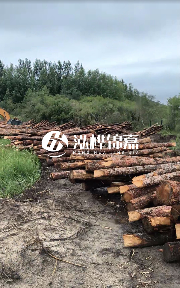 甘肅河道清淤工程公司-為什么要進行河道清淤？