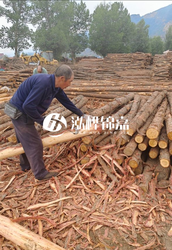 東營(yíng)河道清淤專(zhuān)業(yè)施工隊(duì)-不同型號(hào)挖機(jī)清淤能力對(duì)比？
