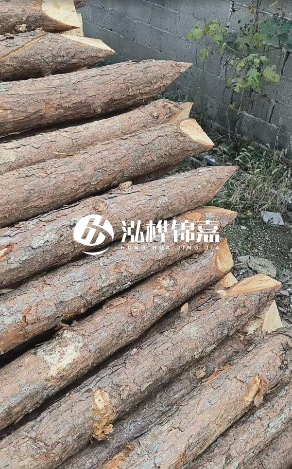 松木樁哪里能大量供應(yīng)？4米20公分松木樁價格是多少？