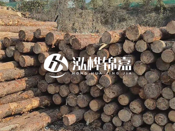 落葉松木材的主要產(chǎn)地在哪里？為什么比其他松木更耐腐蝕？