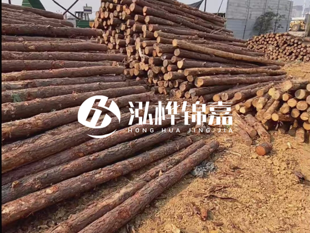 河道木樁施工遇到淤泥怎么辦？打多深才能防沖刷？