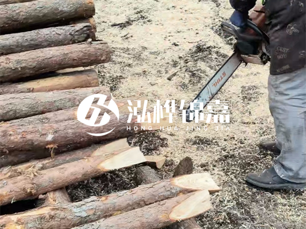 杉木樁批發(fā)廠家哪家好？產(chǎn)地直供渠道推薦！