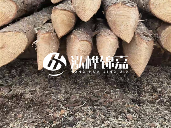 打樁木樁與鋼樁相比有哪些優(yōu)缺點(diǎn)？如何進(jìn)行后期維護(hù)？