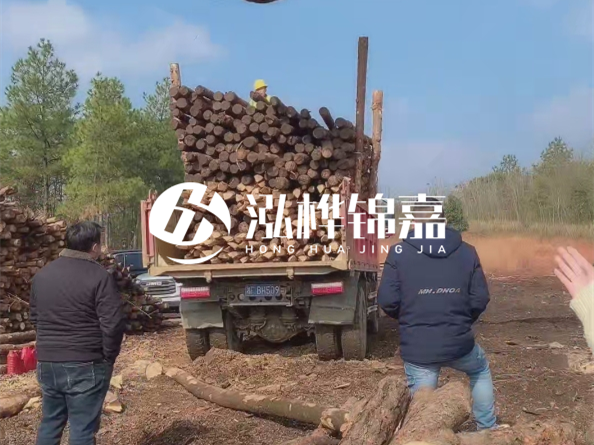 松木樁價格是按米算還是按根算？6米松木樁批發(fā)價每根多少錢？