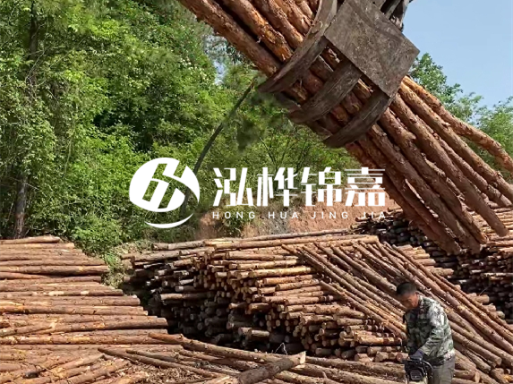 哪里能買到優(yōu)質(zhì) 3 米松木樁？長沙有松木樁批發(fā)工廠嗎？