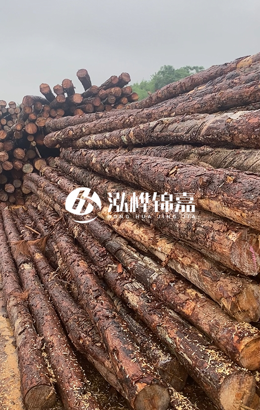 購(gòu)買松木樁注意事項(xiàng)有哪些-不同直徑松木樁區(qū)別有哪些？