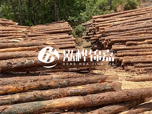 松木樁的運(yùn)輸費(fèi)用是否包含卸車費(fèi)？卸貨時(shí)需要注意哪些安全問(wèn)題？
