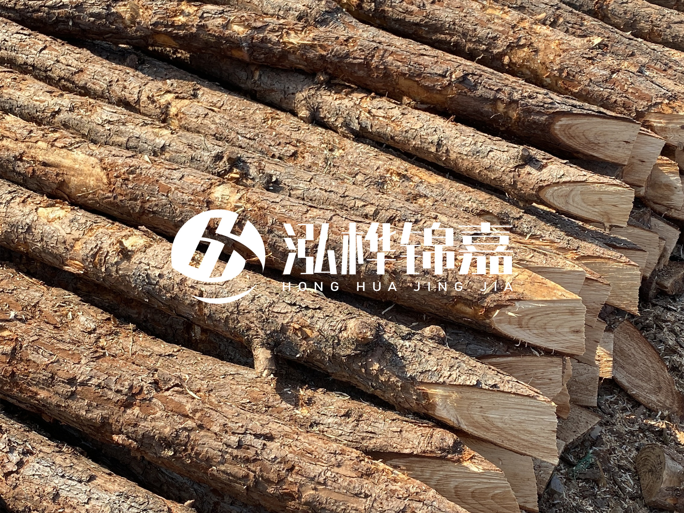 8 米超大直徑松木樁的價格是多少？帶皮和去皮松木樁價格差多少？