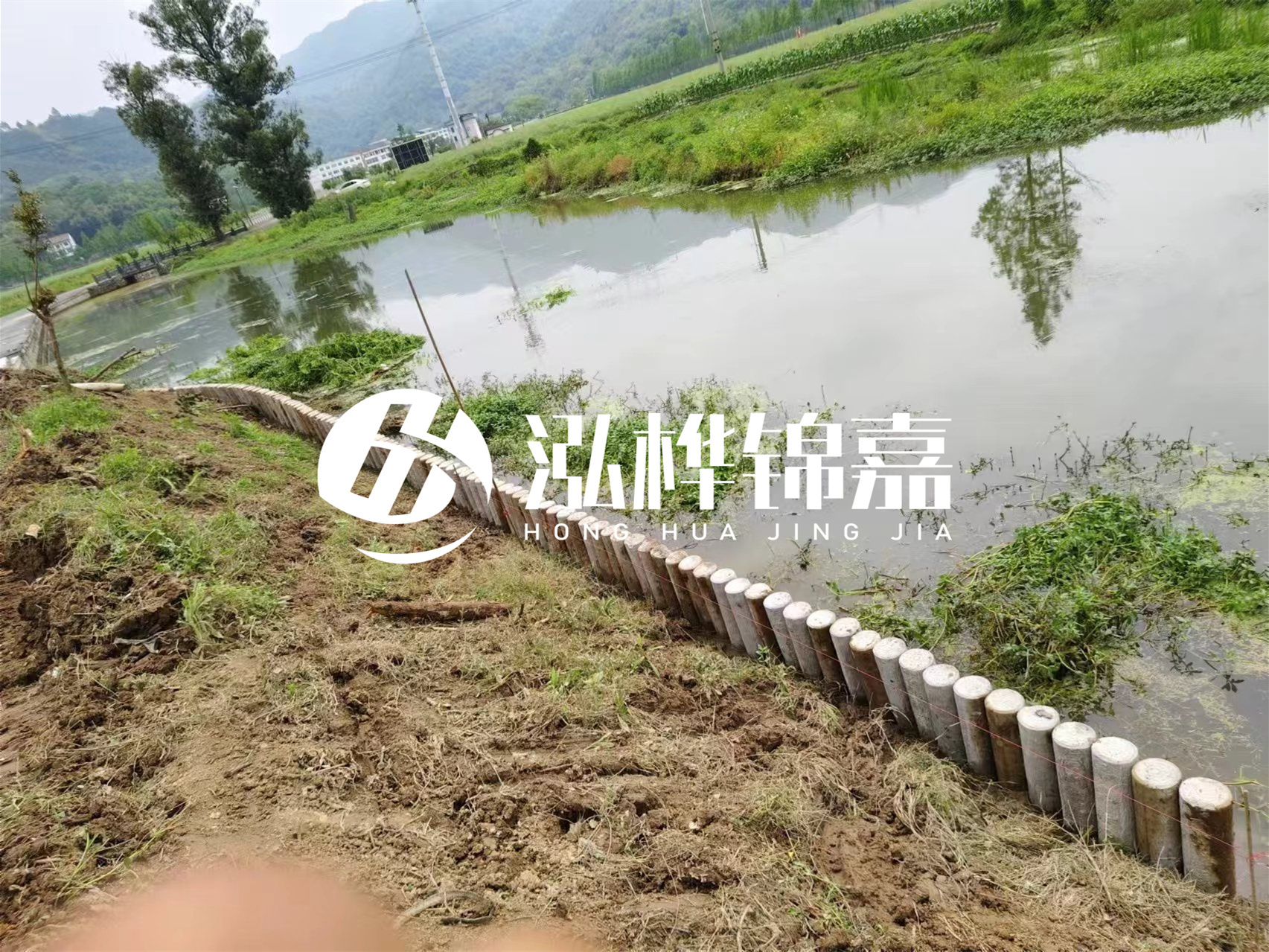 松木樁加固河道與水泥樁對比如何？哪一種更加適合您？