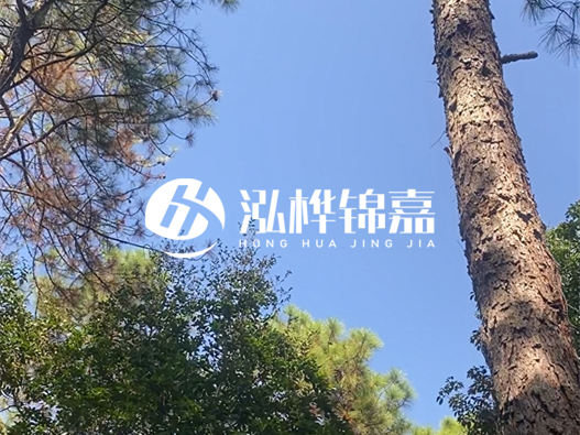 松木樁廠家的供貨能力強(qiáng)不強(qiáng)-怎么才能聯(lián)系到松木樁廠家？