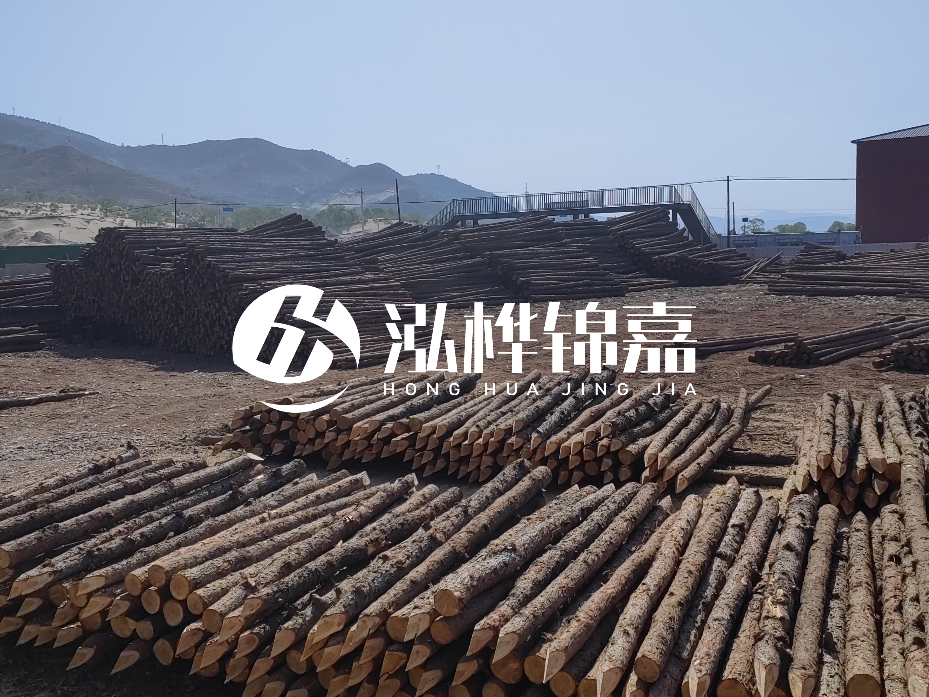 江蘇打樁木源頭廠家泓樺錦嘉-4米打樁木大頭14-16小頭一般多少？