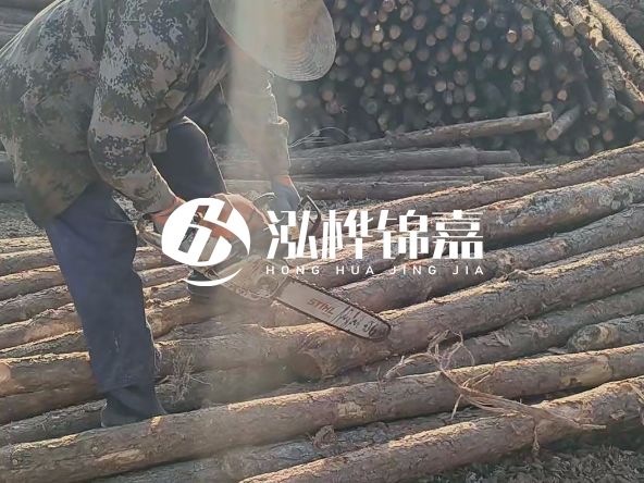廣東打樁木源頭廠家泓樺錦嘉 - 如何選擇適合特定邊坡的松木樁？