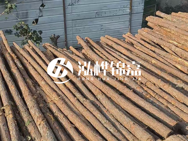 松木樁打樁后清淤怎么處理？有沒有全包的公司？