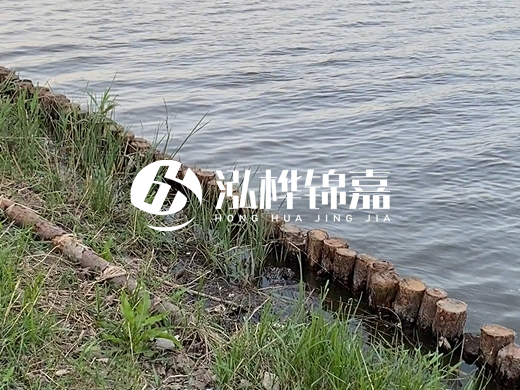 防洪松木樁施工重要性？河道打木樁的位置怎么確定？