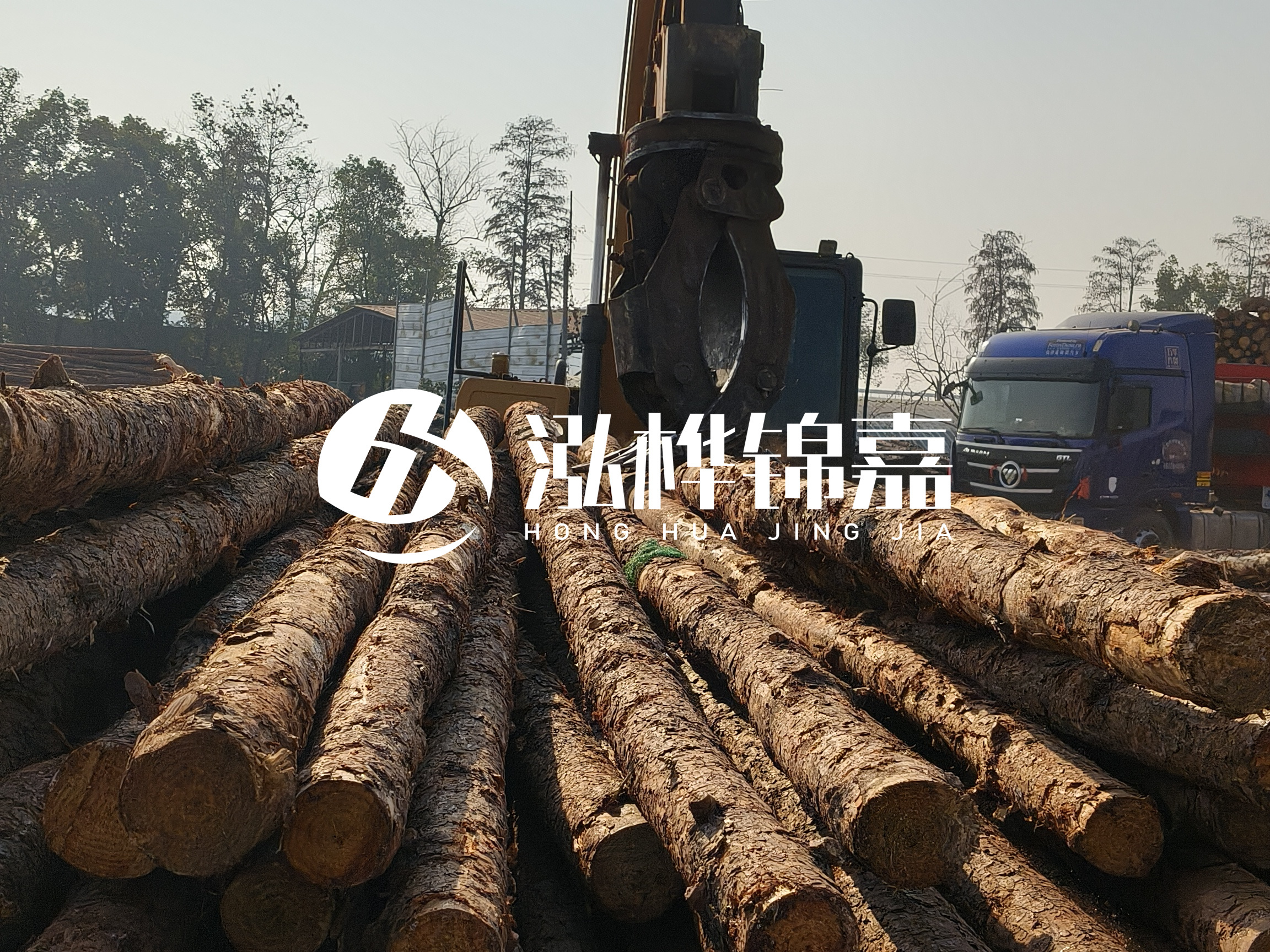 松木樁可以用來做什么？常用于哪些工程？