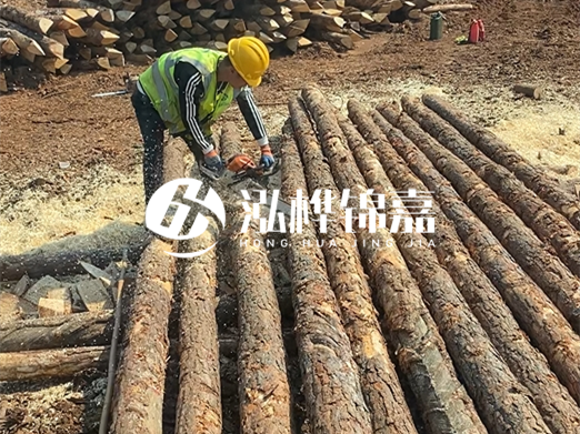 松木樁批發(fā)廠家泓樺錦嘉-河道打樁木施工中怎么防止樁頭被打壞？