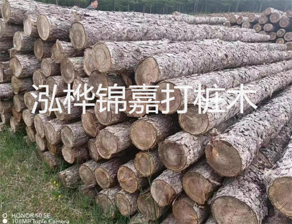 高效修補，保駕護(hù)航！水泥路面高強度修補料為您解決煩惱！