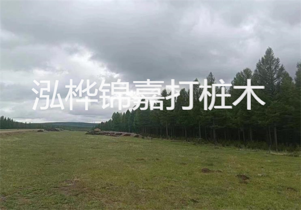 軟土地基加固措施，保障建筑穩(wěn)固