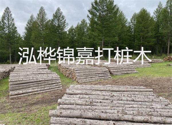 迷人風景！干砌石護坡圖片分享