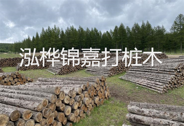 軟土地基應(yīng)按照哪些要素進(jìn)行施工與管理？