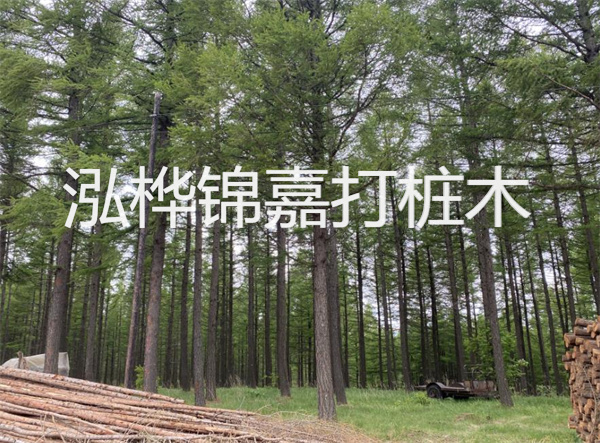 解密基坑軟弱層處理，建筑穩(wěn)固之道！