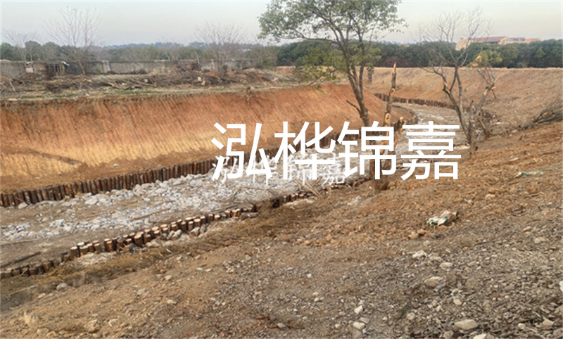 壽材木材批發(fā)，品質(zhì)與信賴的選擇
