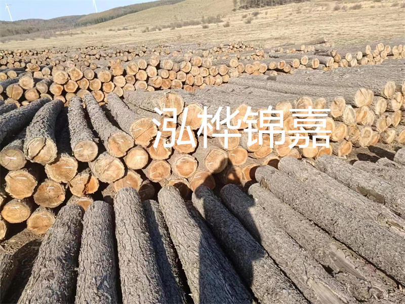 選擇合適的路緣石尺寸，打造美麗道路